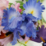 31 Inch Artificial Iris Flower Stem Silk Bulk Wholesale
