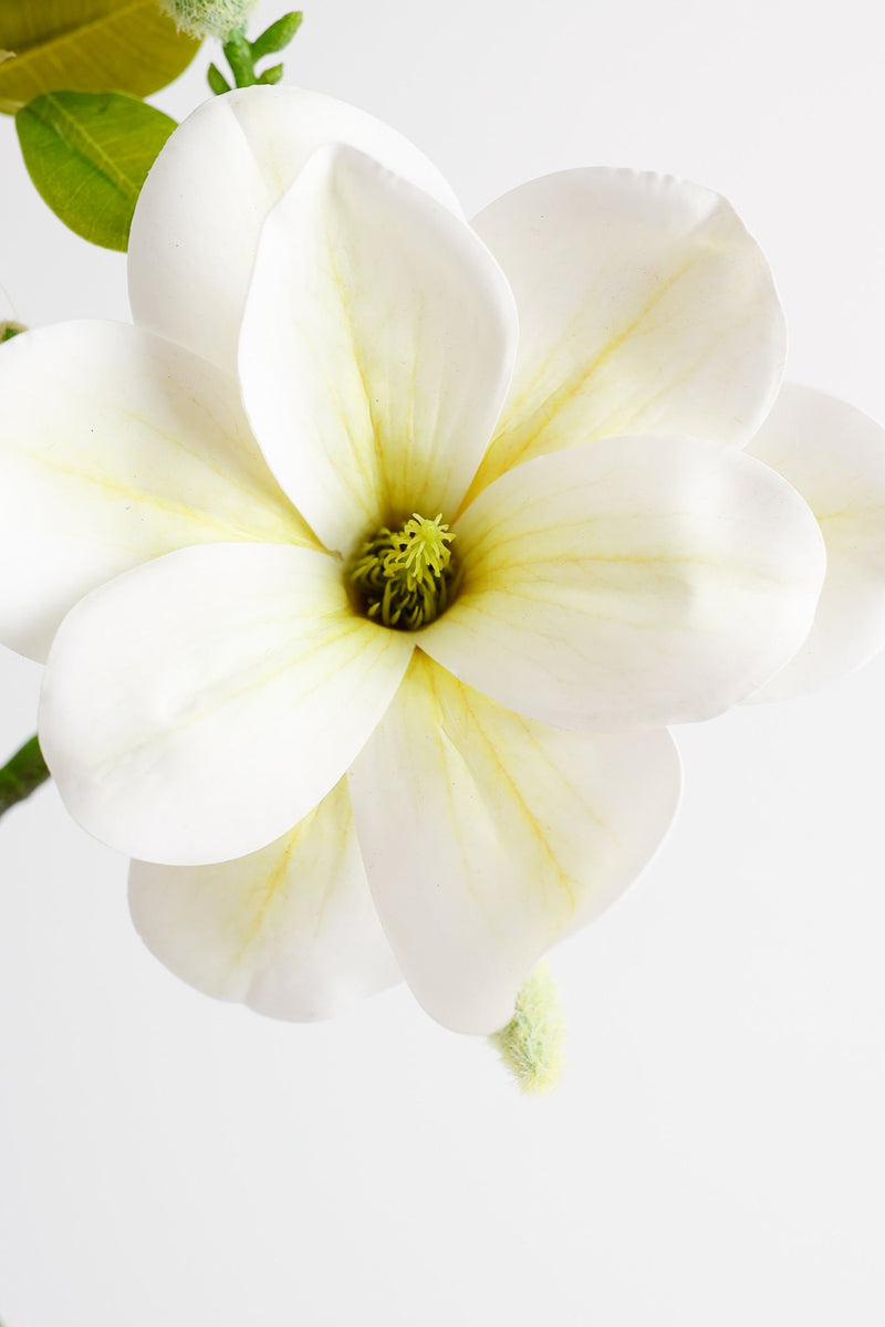 22 Inch Artificial Silk Magnolia Stems Bulk Wholesale - 22" Magnolias, 10 Pcs