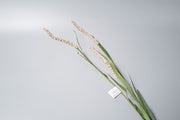 Artificial Millet Heather Bush Plant 38 Inch 1 Pc Silk Bulk Wholesale