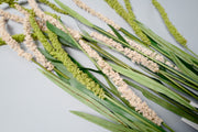 Artificial Millet Heather Bush Plant 38 Inch 1 Pc Silk Bulk Wholesale