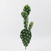 Artificial Mini Cactus Succulents 12 Pcs Bulk Tropical Desert Landscape Faux Plants