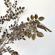 34 Inch Extra Tall Zamioculcas Plant Artificial Plum Green Leaf Spray Branches Bulk 10 Pcs