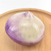 Artificial Onion Bulbs 10 Pcs 3 Inch Decorative Silk Vegetable for Home Decor