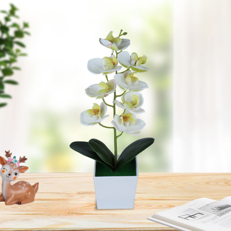13 Inch Artificial Phalaenopsis Orchid Flowers 10 Pcs Plastic Stems with Vase
