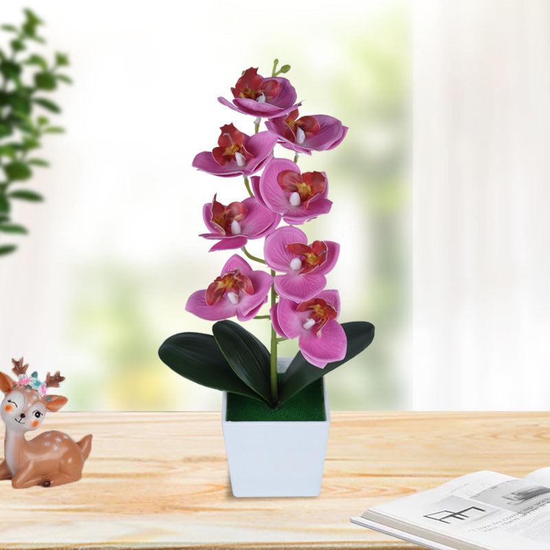 13 Inch Artificial Phalaenopsis Orchid Flowers 10 Pcs Plastic Stems with Vase