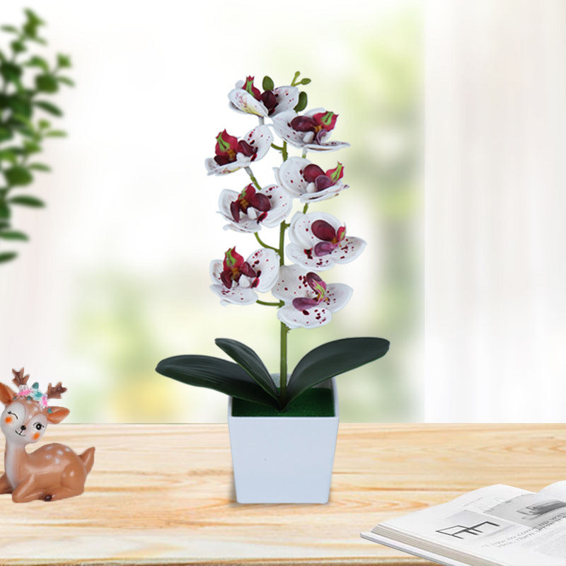 13 Inch Artificial Phalaenopsis Orchid Flowers 10 Pcs Plastic Stems with Vase