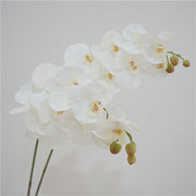 38 Inch Artificial Phalaenopsis Orchid Stems 10 Pcs Real Touch Silk Flowers for Table Centerpieces