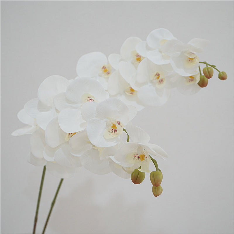38 Inch Artificial Phalaenopsis Orchid Stems 10 Pcs Real Touch Silk Flowers for Table Centerpieces