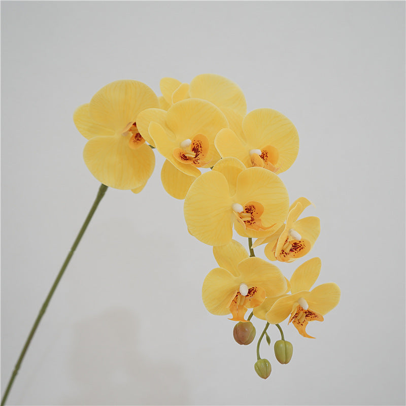 38 Inch Artificial Phalaenopsis Orchid Stems 10 Pcs Real Touch Silk Flowers for Table Centerpieces