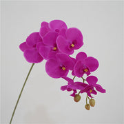 38 Inch Artificial Phalaenopsis Orchid Stems 10 Pcs Real Touch Silk Flowers for Table Centerpieces