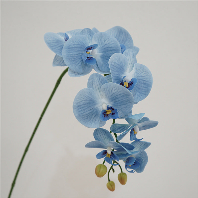 38 Inch Artificial Phalaenopsis Orchid Stems 10 Pcs Real Touch Silk Flowers for Table Centerpieces