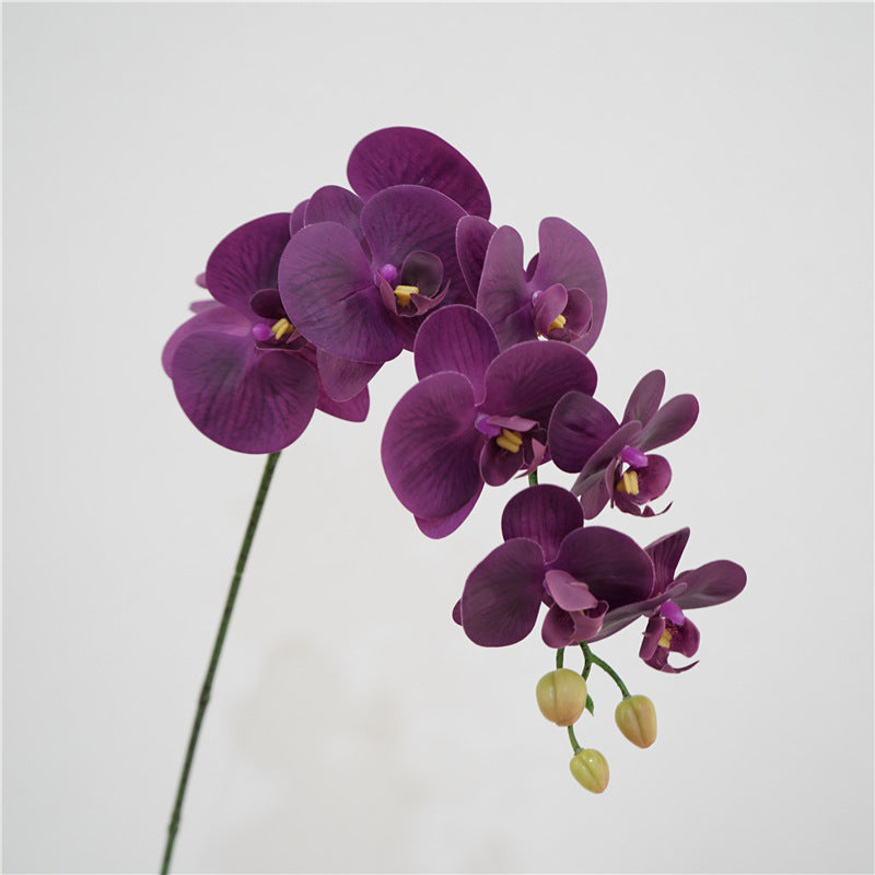 38 Inch Artificial Phalaenopsis Orchid Stems 10 Pcs Real Touch Silk Flowers for Table Centerpieces