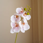 17 Inch Phalaenopsis Artificial Flower Stem Real Touch Bulk Wholesale