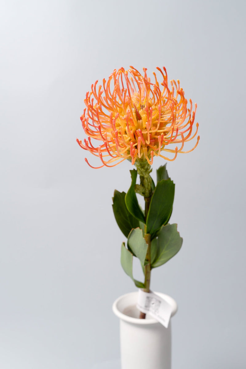 Artificial Pincushion Flowers 10 Pcs 21 Inch Silk Stems Bulk Wholesale