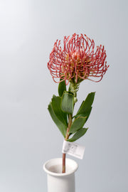 Artificial Pincushion Flowers 10 Pcs 21 Inch Silk Stems Bulk Wholesale