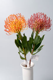 Artificial Pincushion Flowers 10 Pcs 21 Inch Silk Stems Bulk Wholesale