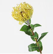 30 Inch Leucospermum Cordifolium Pincushion Protea Stems, 10 Pcs Artificial Flowers