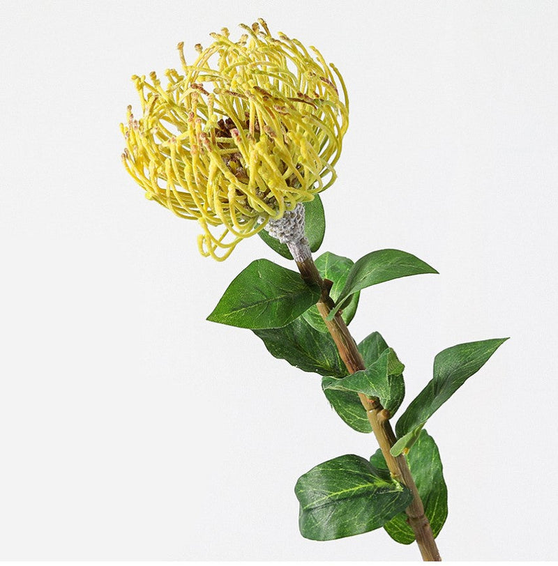 30 Inch Leucospermum Cordifolium Pincushion Protea Stems, 10 Pcs Artificial Flowers