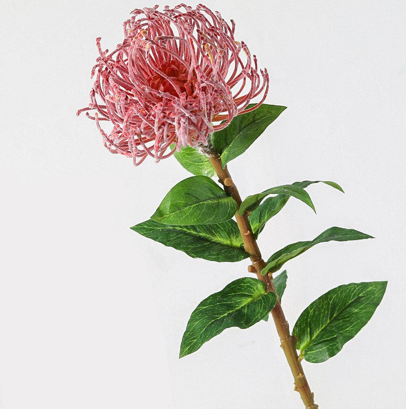 30 Inch Leucospermum Cordifolium Pincushion Protea Stems, 10 Pcs Artificial Flowers