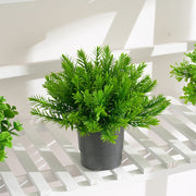 Artificial Greenery Plant in Vase Bonsai – Bulk Pack for Plant Lovers, Green Artificial Foliage Decor