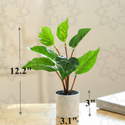 Artificial Bonsai Plants 6 Pcs Greenery in Pot Indoor Home Party Decoration