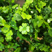 10 Pcs Artificial St. Patrick’s Day Clover Plants UV Resistant Outdoor Lucky Green Foliage
