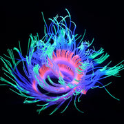 Artificial Aquarium Plants 10 Pcs Glow Sea Anemones Decorations for Fish Tank