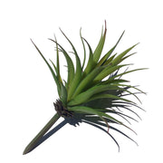 Artificial Succulents Sword Pick 12 Inch Greenery Decoration Bulk 10 Pcs