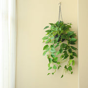 31 Inch UV Treated Artificial Hanging Philodendron Plant Basket for Indoor Outdoor Decor