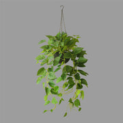 31 Inch UV Treated Artificial Hanging Philodendron Plant Basket for Indoor Outdoor Decor