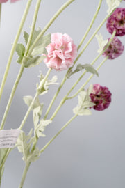Artificial Pristimera Cambodiana Flowers 27 Inch Bulk Wholesale Silk Stems