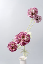 Artificial Pristimera Cambodiana Flowers 27 Inch Bulk Wholesale Silk Stems
