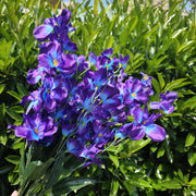 27 Inch Artificial Orchid Flowers Purple Blue Violet Bulk 10 Pcs Silk Stems