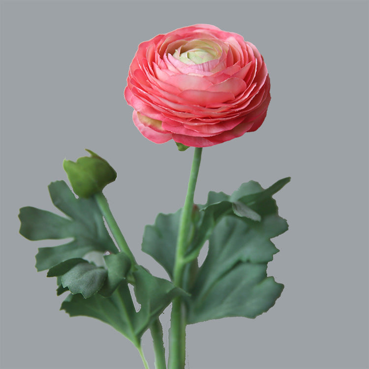 19 Inch Persian Buttercup Ranunculus Flowers, 10 Pcs Artificial Silk with Real Touch Stems