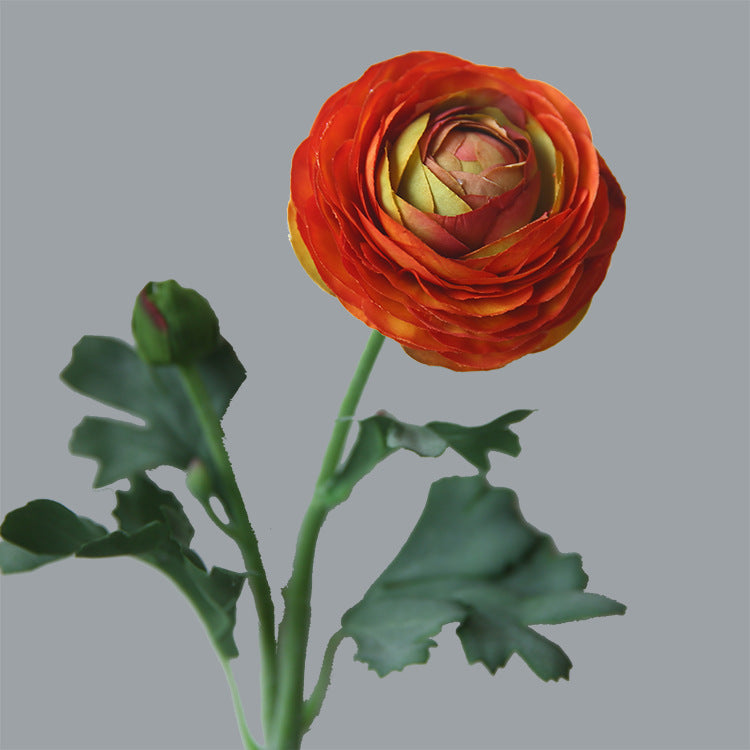19 Inch Persian Buttercup Ranunculus Flowers, 10 Pcs Artificial Silk with Real Touch Stems