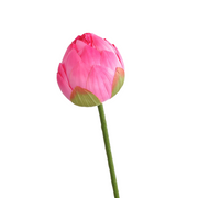 Lotus Lily Artificial Flower Stems with Leaf and Seedpod, Real Touch, Bulk Wholesale Quantity