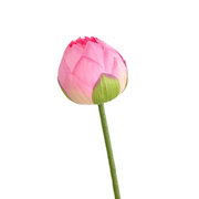Lotus Lily Artificial Flower Stems with Leaf and Seedpod, Real Touch, Bulk Wholesale Quantity