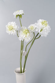 Artificial White Scabiosa Flowers 24 Inch Stems 10 Pcs Bulk Silk Floral Stems