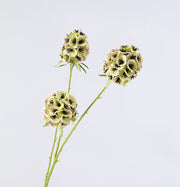 Artificial Scabiosa Pods Filler Flowers 10 Pcs 28 Inch Stella Stems Bulk Wholesale