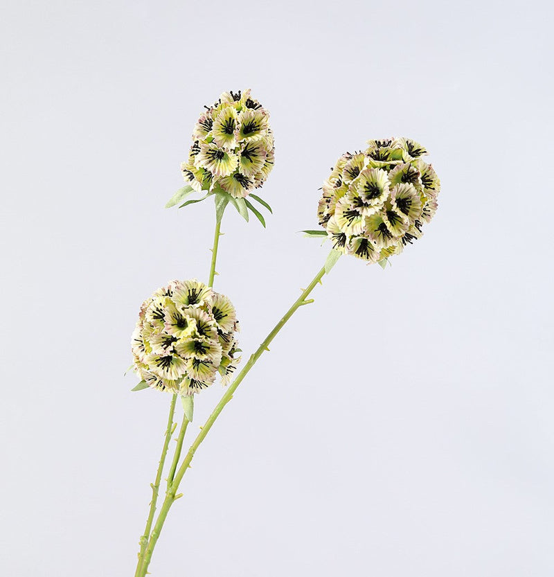 Artificial Scabiosa Pods Filler Flowers 10 Pcs 28 Inch Stella Stems Bulk Wholesale