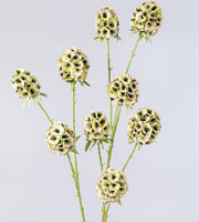Artificial Scabiosa Pods Filler Flowers 10 Pcs 28 Inch Stella Stems Bulk Wholesale