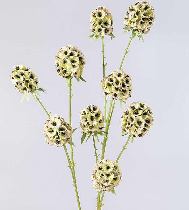 Artificial Scabiosa Pods Filler Flowers 10 Pcs 28 Inch Stella Stems Bulk Wholesale