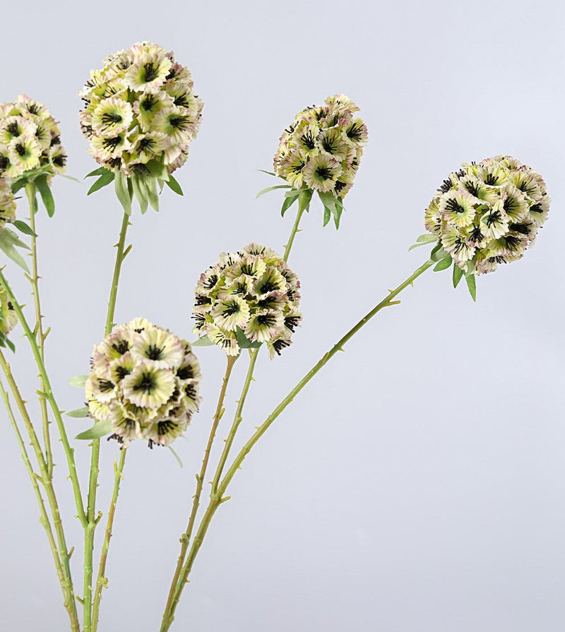 Artificial Scabiosa Pods Filler Flowers 10 Pcs 28 Inch Stella Stems Bulk Wholesale