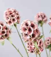 Artificial Scabiosa Pods Filler Flowers 10 Pcs 28 Inch Stella Stems Bulk Wholesale