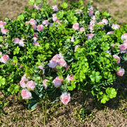 24 Bundles Artificial Shamrock Clover Bush with Pink Rose Flowers, Outdoor Silk Plants