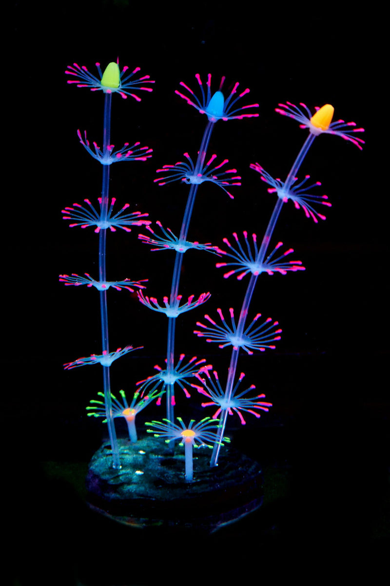 Artificial Aquarium Sea Plants Ornament 10 Pcs Glow Green Plastic Fish Tank Decor