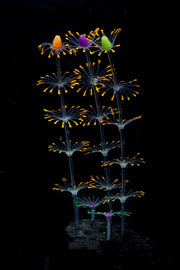 Artificial Aquarium Sea Plants Ornament 10 Pcs Glow Green Plastic Fish Tank Decor