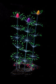 Artificial Aquarium Sea Plants Ornament 10 Pcs Glow Green Plastic Fish Tank Decor