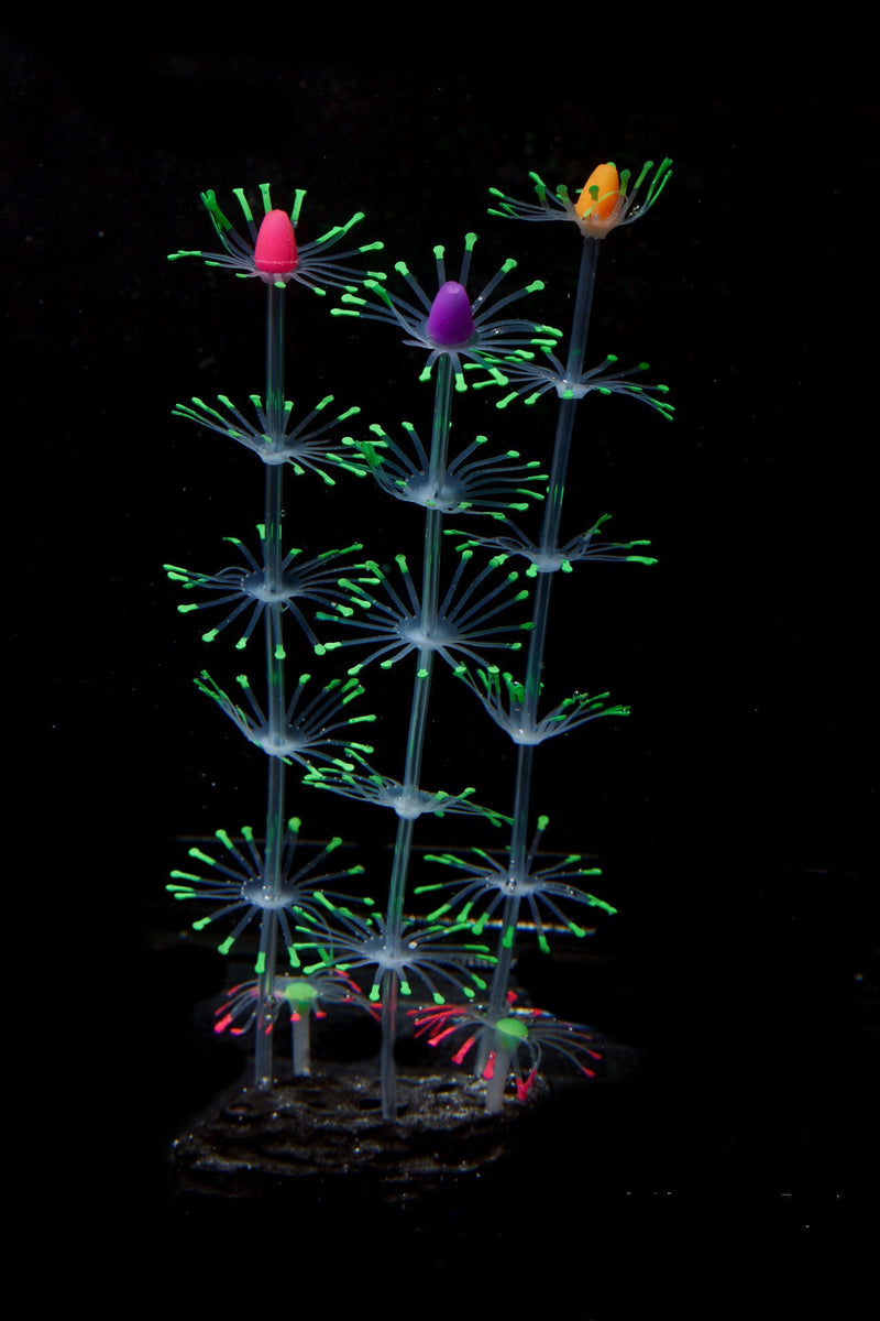 Artificial Aquarium Sea Plants Ornament 10 Pcs Glow Green Plastic Fish Tank Decor