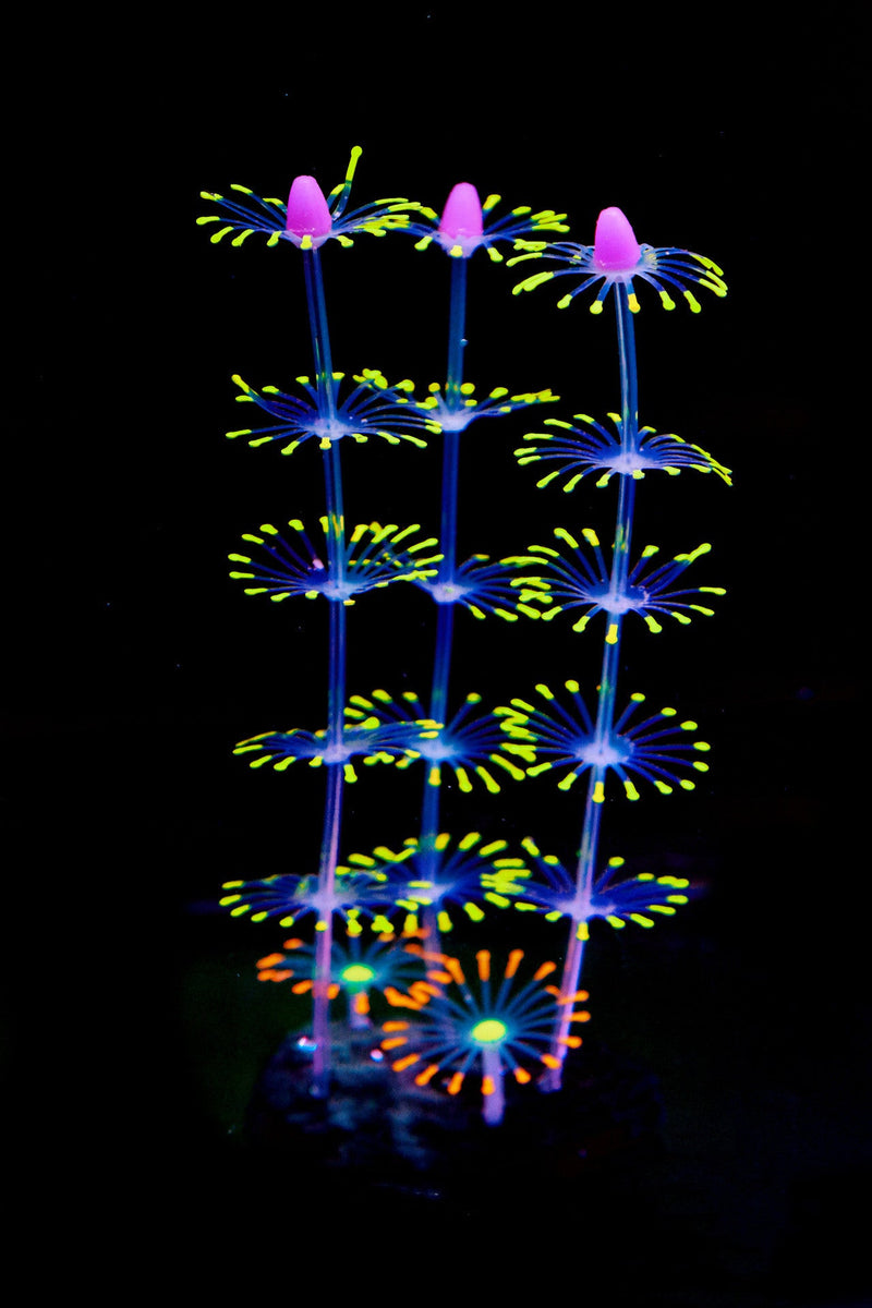 Artificial Aquarium Sea Plants Ornament 10 Pcs Glow Green Plastic Fish Tank Decor